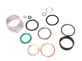 Center Lift Cylinder Seal Kit for Caterpillar Forklift C5000