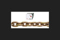 CHAIN TRANS 1/4" CHRM65'